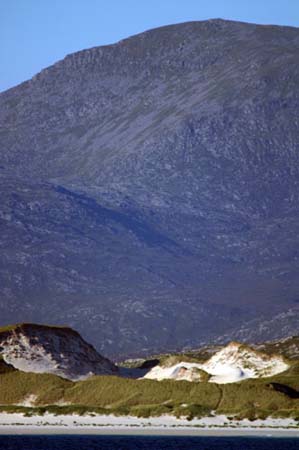 view3
